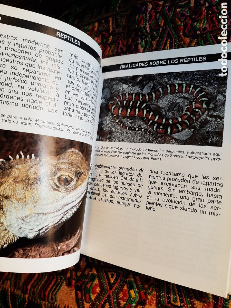 Libros: Guia completa de los reptiles John Coborn - Foto 6