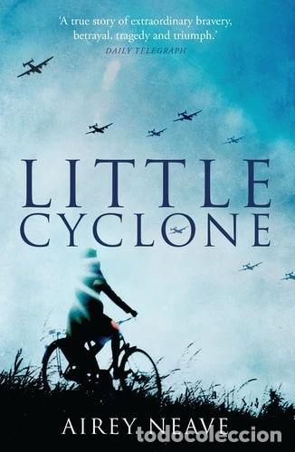 Libros: Little Cyclone- 9781849549608