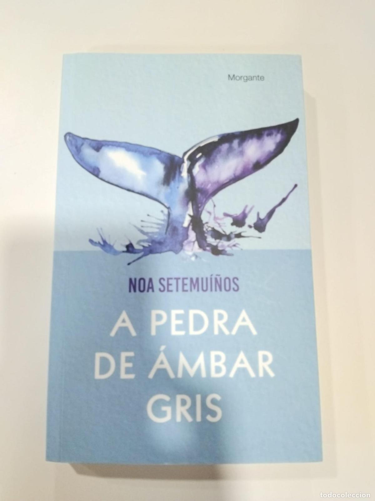 Libros: A pedra de &aacute;mbar gris - Noa P&eacute;rez Gonz&aacute;lez - Foto 1