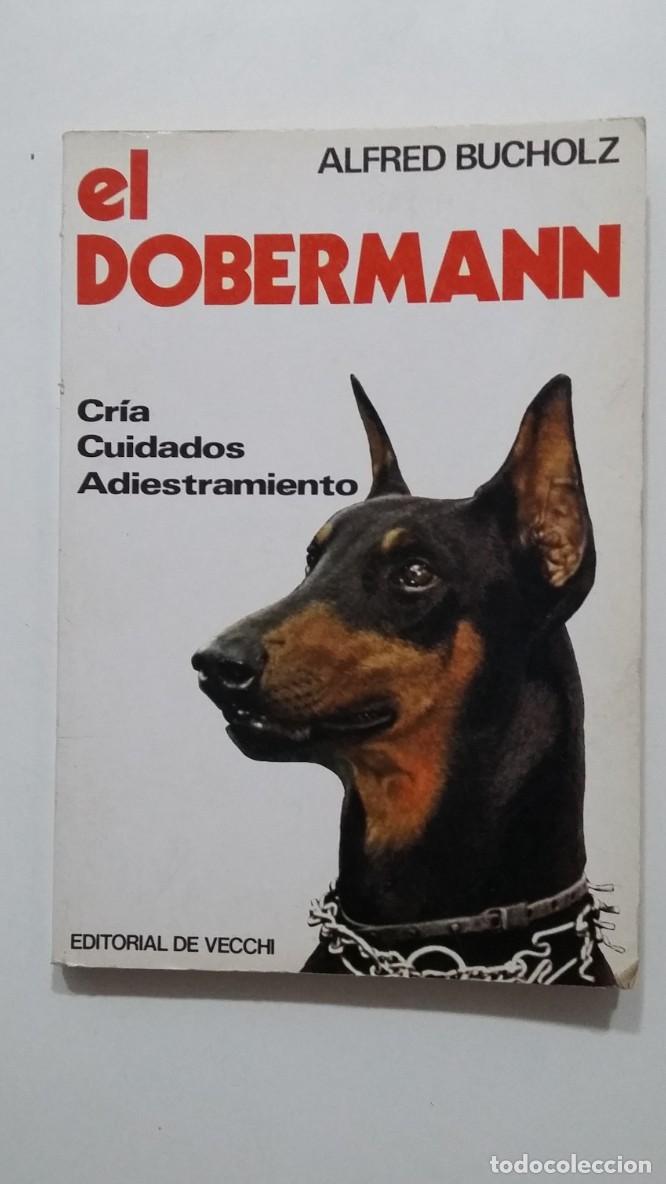 Libros: El doberman. Alfred Bucholz. De Vecchi. TDK425 - - Foto 1