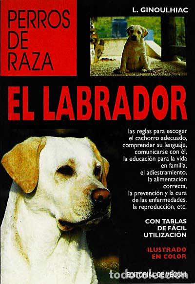 Libros: El Labrador - L. Ginoulhiac - Foto 1