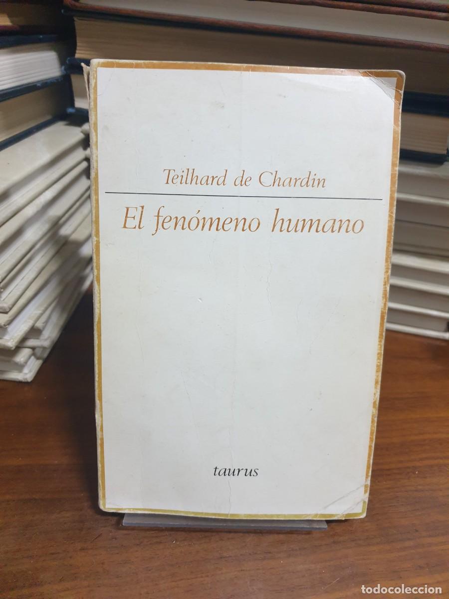 Libros: El fen&oacute;meno humano Pierre Teilhard de Chardin Taurus - Foto 1