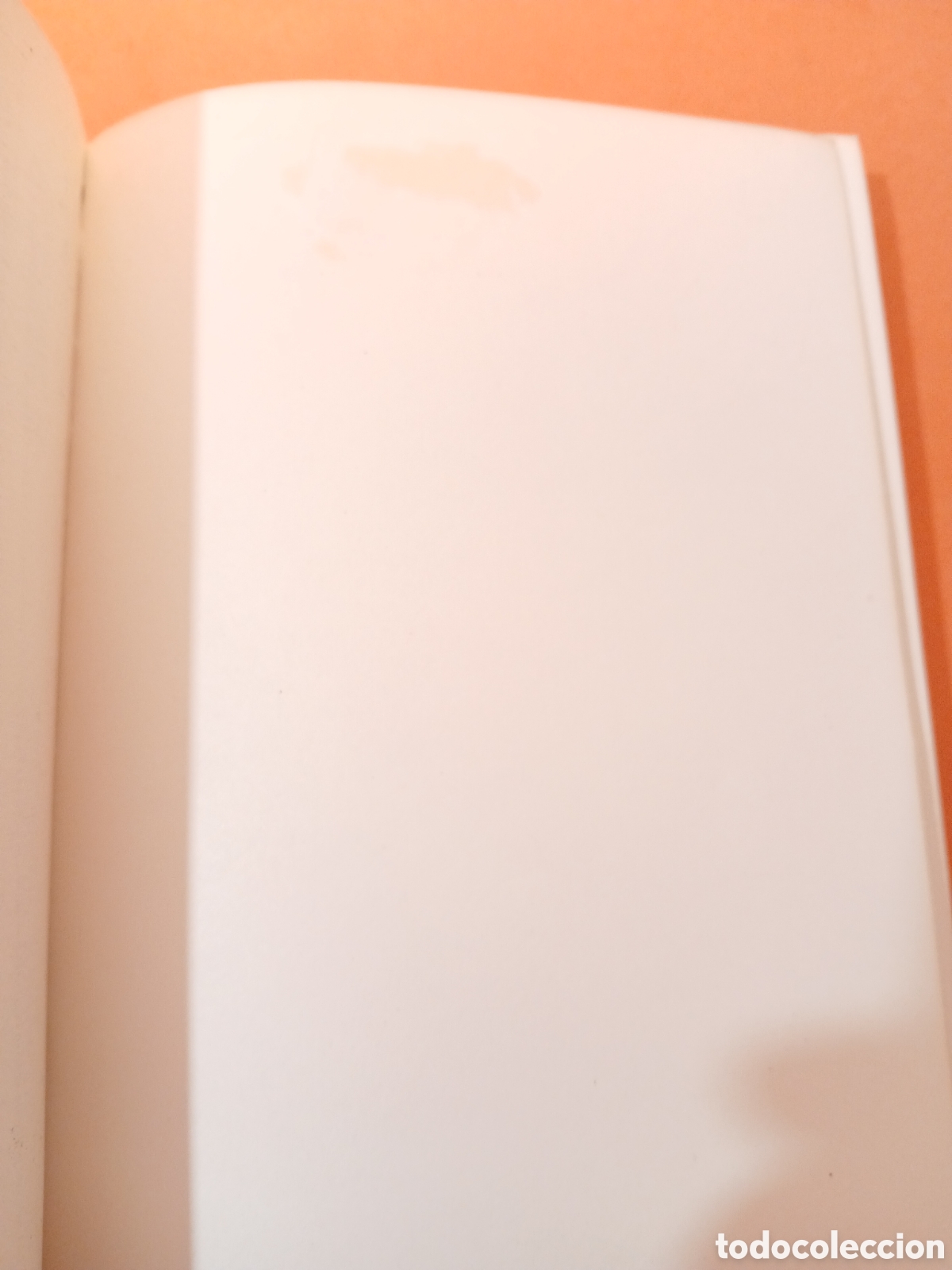 Libros: LOS NODOS DE LA LUNA � ASTROLOGIA - PUIGGROS - Foto 6