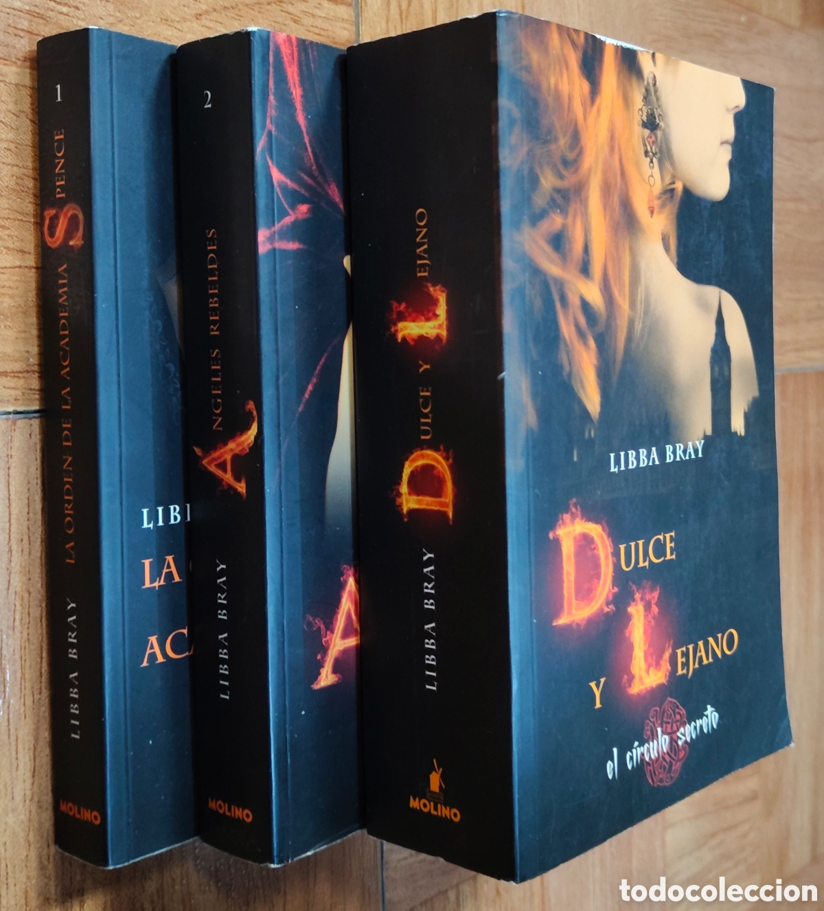 Libros: El C&iacute;rculo Secreto I, II, III � Molino - Libba Bray - Foto 2