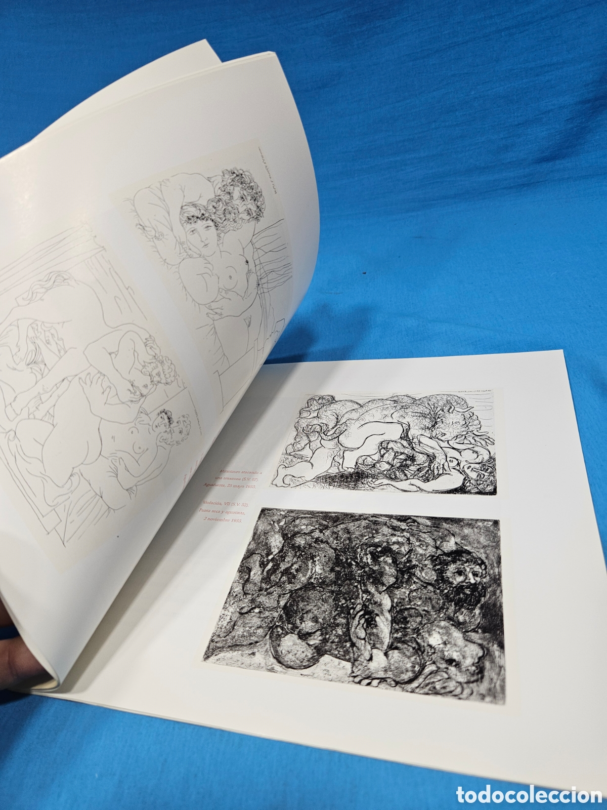 Libros: PICASSO. SUITE VOLLARD - Foto 4