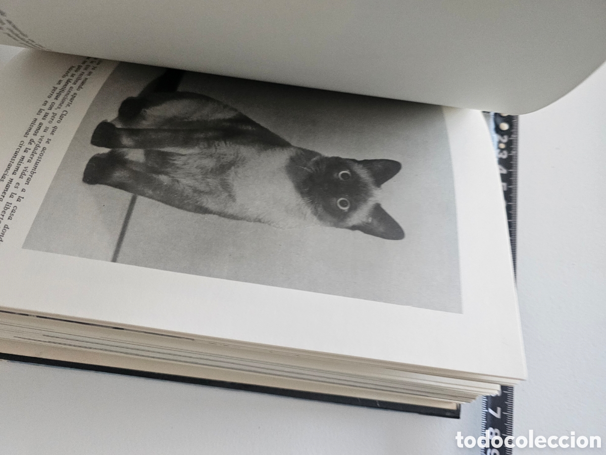 Libros: El libro de la mujer, de M&ordf; L. Rocamora 1970 - Foto 7