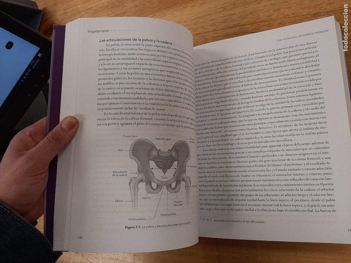 Libros: YOGA TERAPIA - Mark Stephens - Editorial Sirio, 2019 - Foto 11