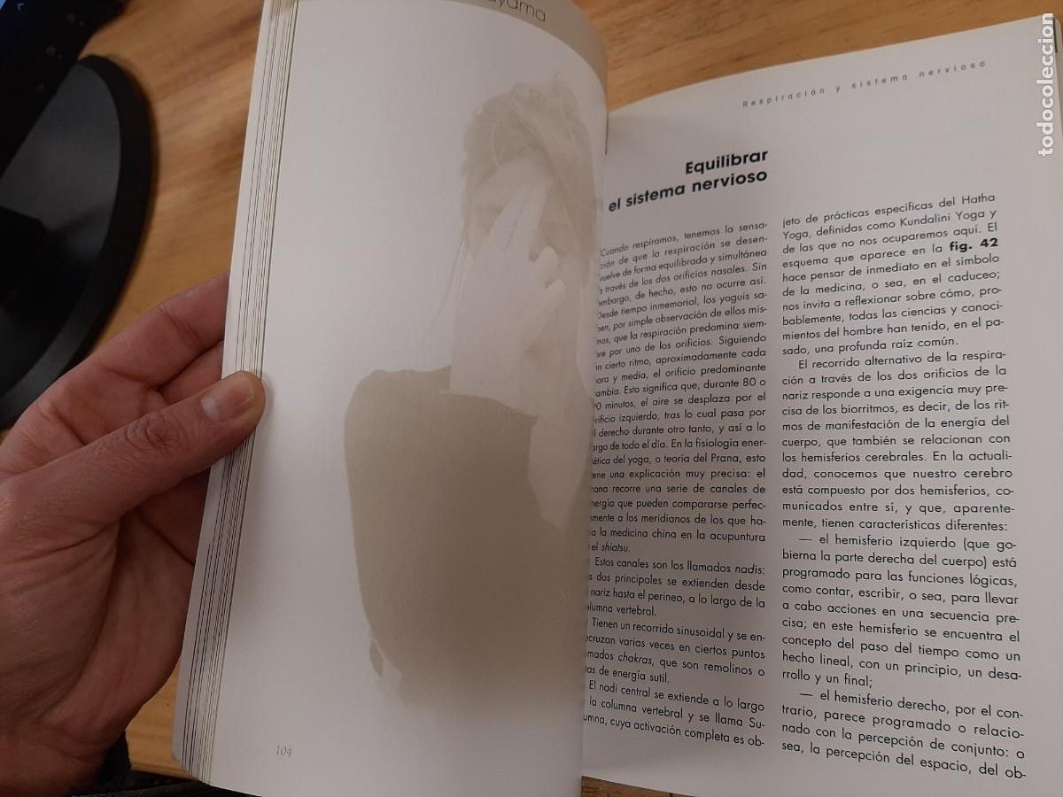 Libros: El gran libro del Pranayama - Stefania Redini - De Vecchi Ediciones, 2020 - Foto 6