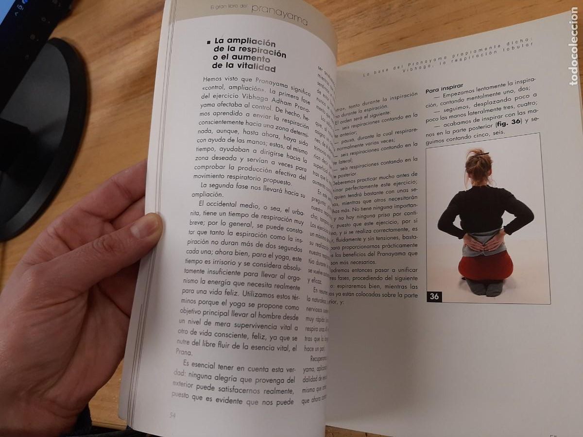 Libros: El gran libro del Pranayama - Stefania Redini - De Vecchi Ediciones, 2020 - Foto 8