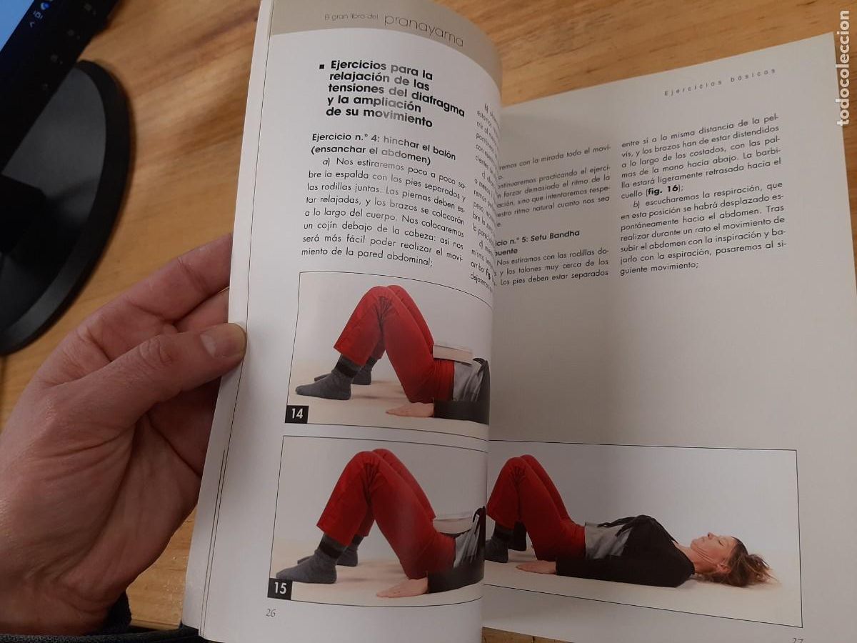 Libros: El gran libro del Pranayama - Stefania Redini - De Vecchi Ediciones, 2020 - Foto 11