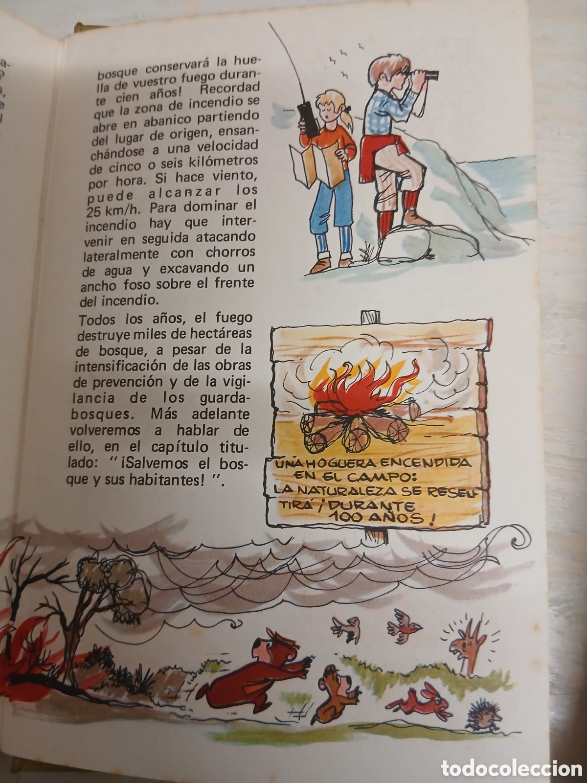 Libros: MANUAL DE YOGUI HANNA-BARBERA 1978 - Foto 5