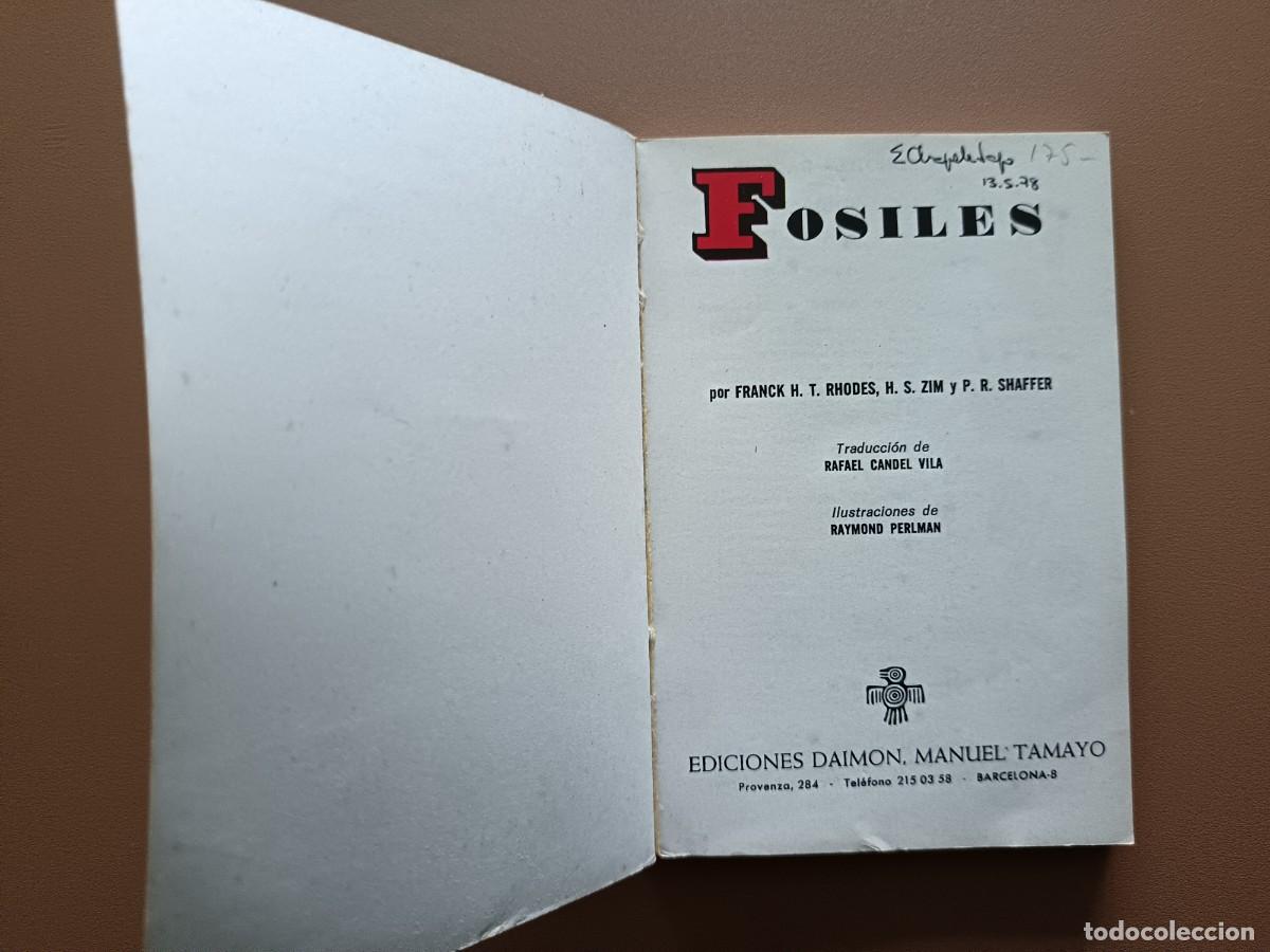 Libros: F&Oacute;SILES - DAIMON - 1970 - Foto 2