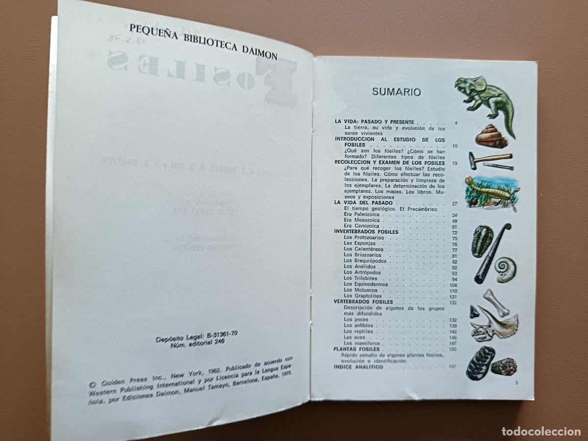 Libros: F&Oacute;SILES - DAIMON - 1970 - Foto 3