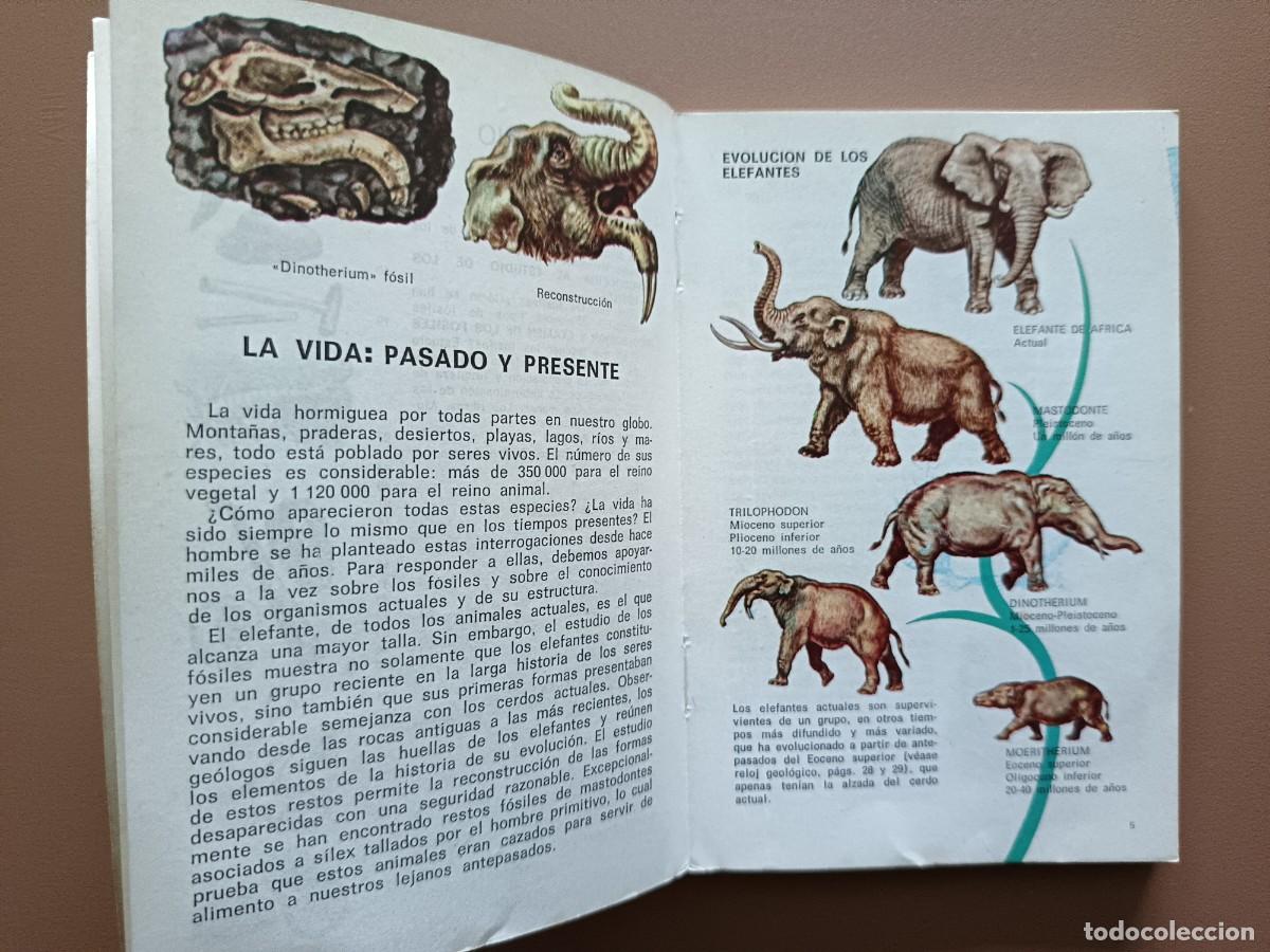 Libros: F&Oacute;SILES - DAIMON - 1970 - Foto 4