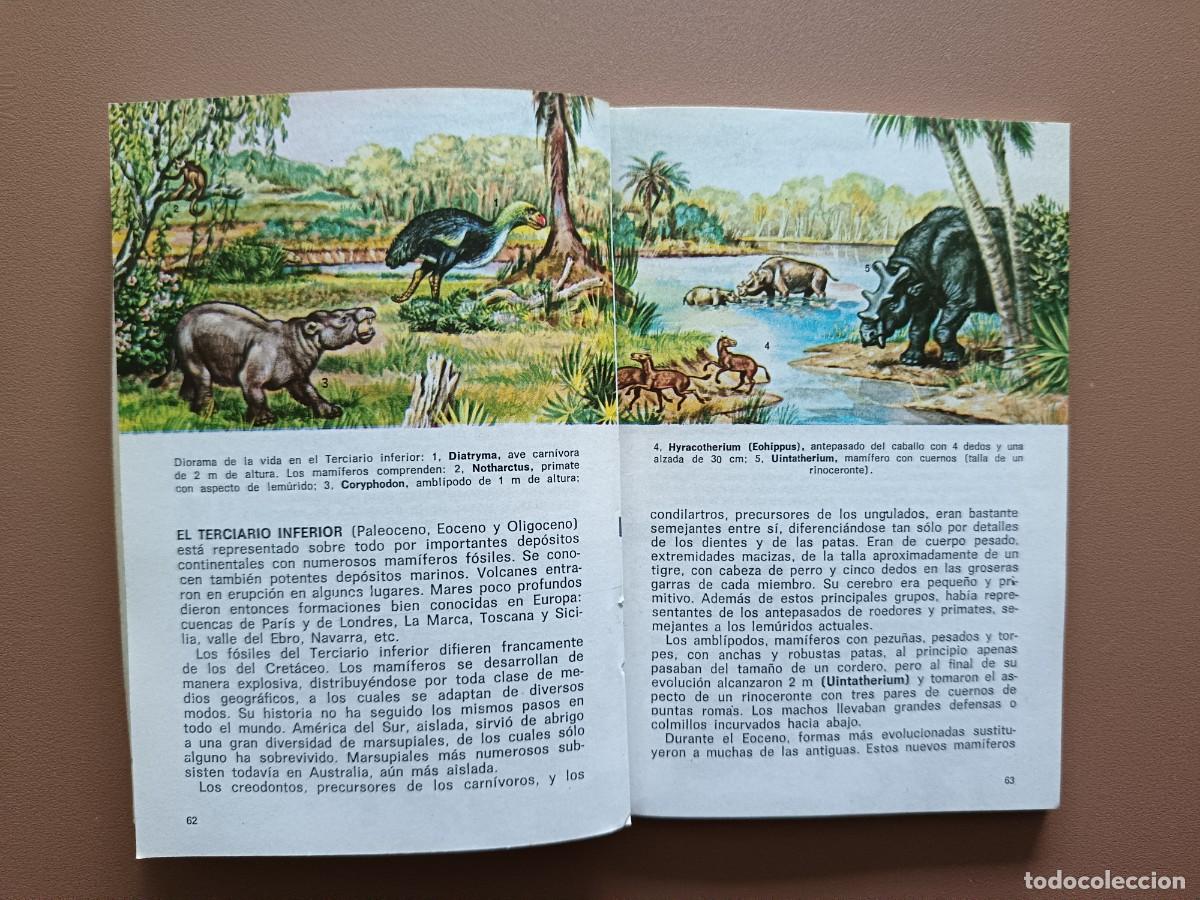 Libros: F&Oacute;SILES - DAIMON - 1970 - Foto 5