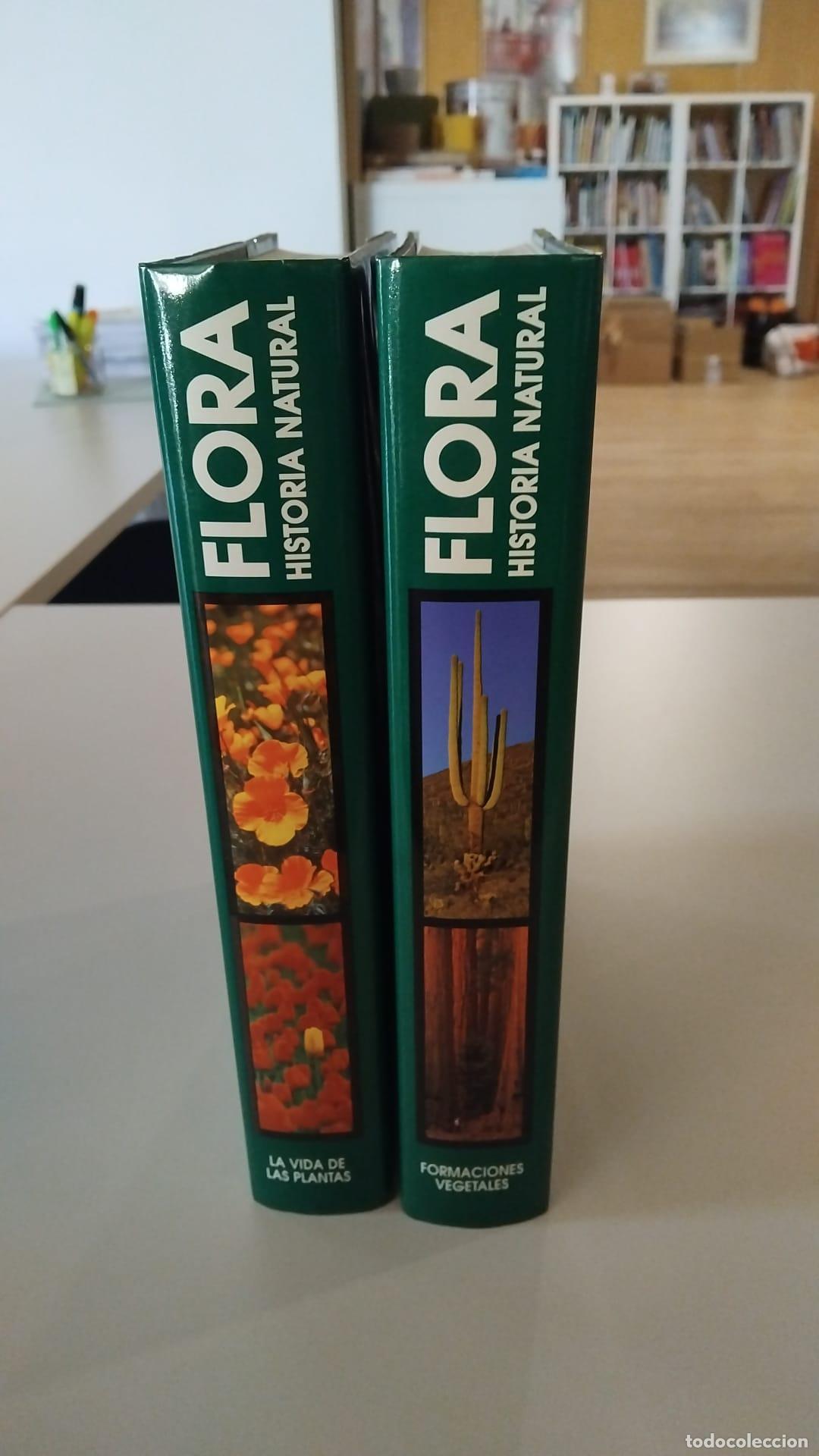 Libros: Historia natural (flora II) - VVAA - Foto 1