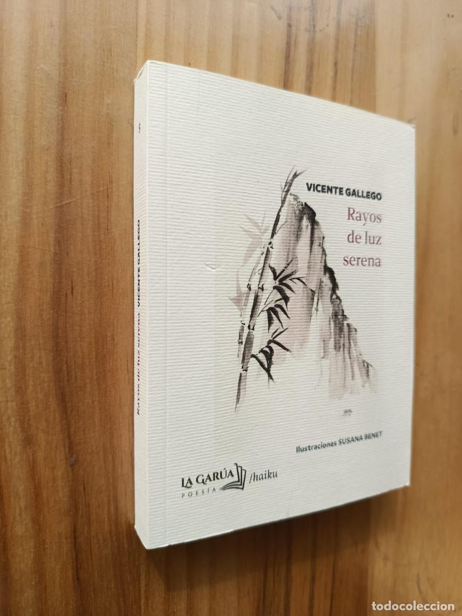 Libros: RAYOS DE LUZ SERENA VICENTE GALLEGO LA GARUA-