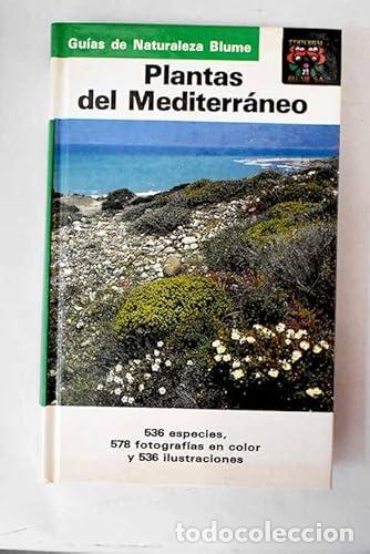 Libri di seconda mano: PLANTAS DEL MEDITERR&Aacute;NEO - BAYER - BUTTLER - FINKENZELLER - GRAU