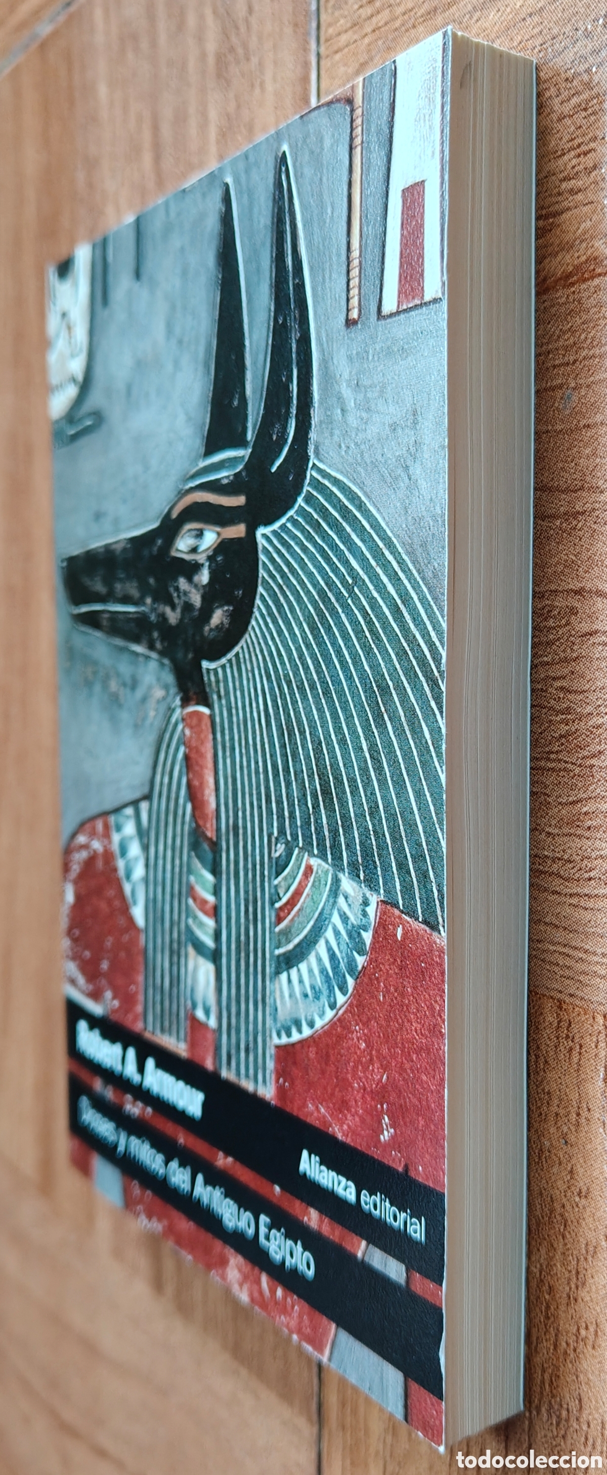 Libros: Dioses y Mitos del Antiguo Egipto � Alianza - Robert A. Armour - Foto 2