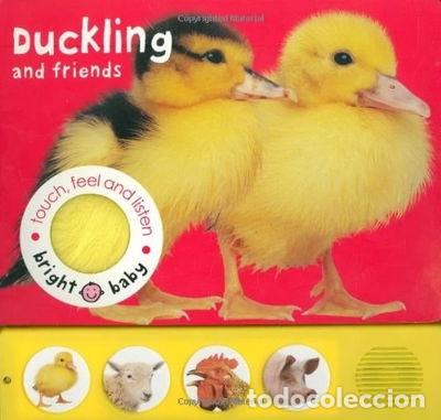 Libros: Duckling and Friends- 9781843323457 - Foto 1