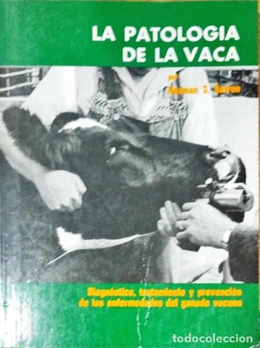 Libros: La patolog&iacute;a de la vaca - BARRON, NORMAN S. - Foto 1