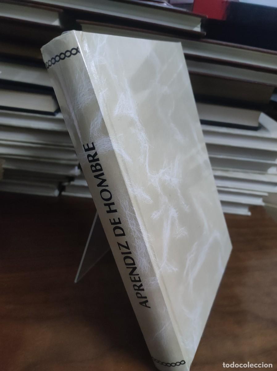 Libros: Aprendiz de Hombre Gonzalo Torrente Ballester Doncel - Foto 1