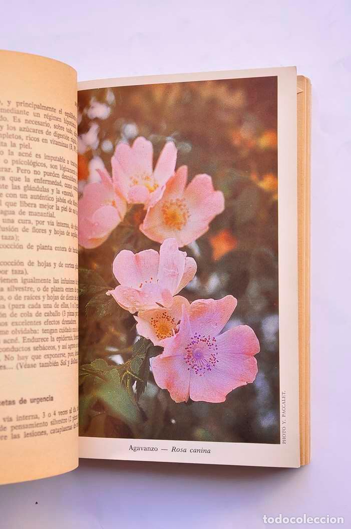 Libros: Mi herbario de belleza - MESS&Eacute;GU&Eacute;, Maurice - Foto 3