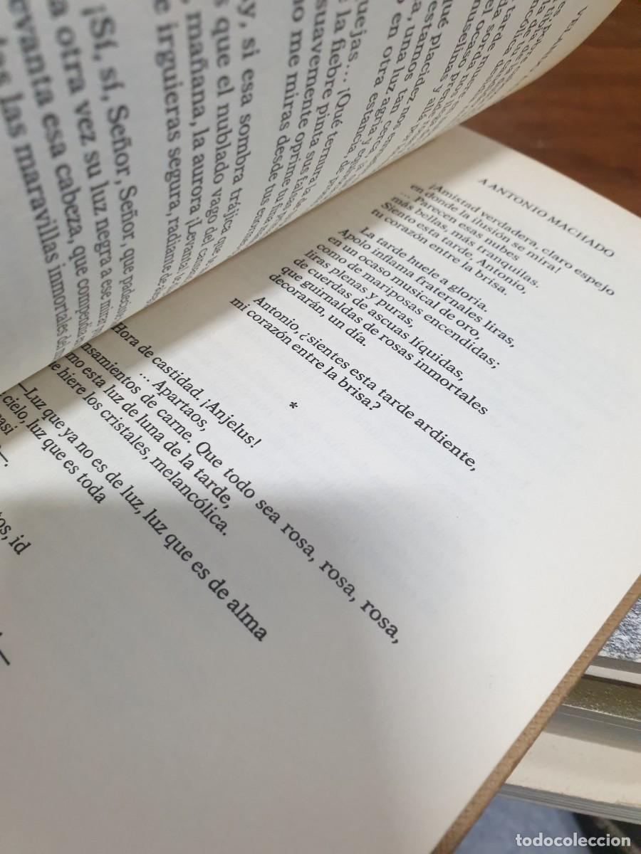 Libros: Antolog&iacute;a po&eacute;tica Juan Ram&oacute;n Jim&eacute;nez - Foto 5