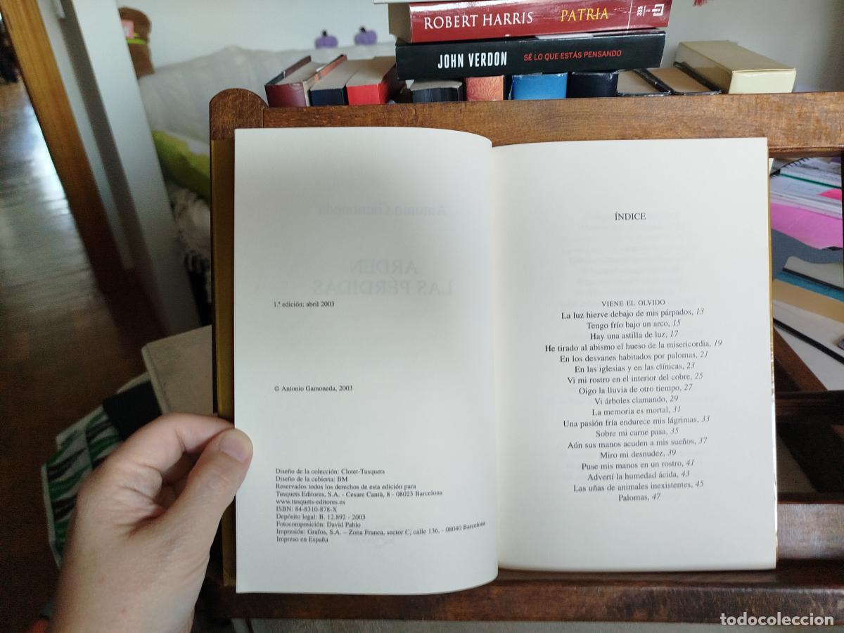 Libros: Arden las p&eacute;rdidas - Gamoneda, antonio - Foto 4
