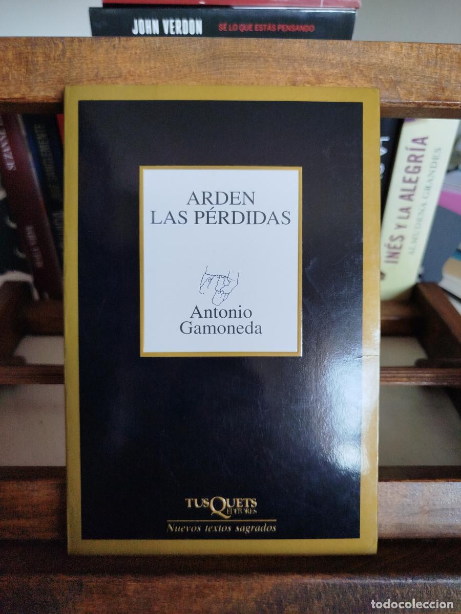 Libros: Arden las p&eacute;rdidas - Gamoneda, antonio - Foto 1