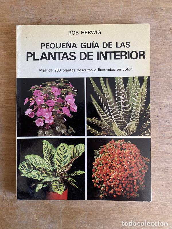 books: Peque&ntilde;a guia de las plantas de interior - Herwig Rob