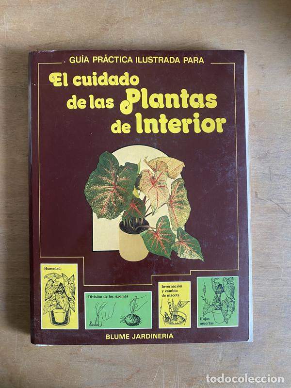 Libros: Guia practica ilustrada para el cuidado de las plantas de interior - David Longman - Foto 1