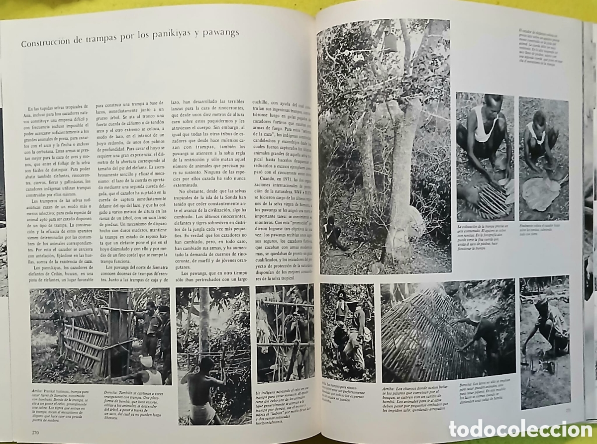 Libros: El gran libro de la caza - Foto 5