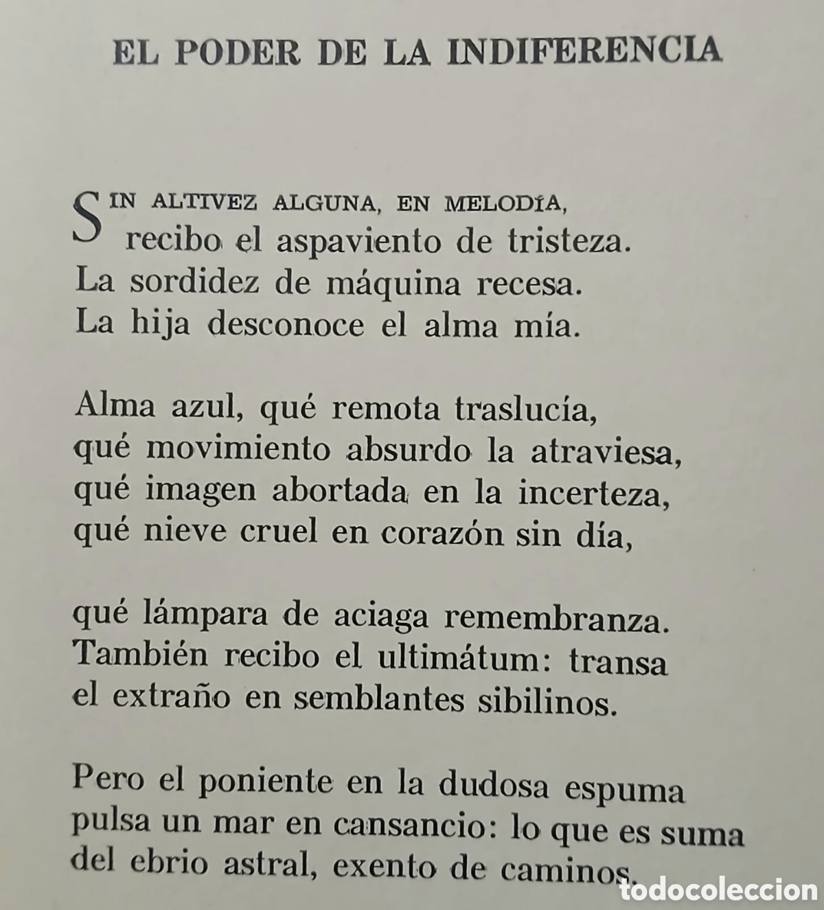 Libros: Cancionero IV, Francisco Matos Paoli - Foto 8
