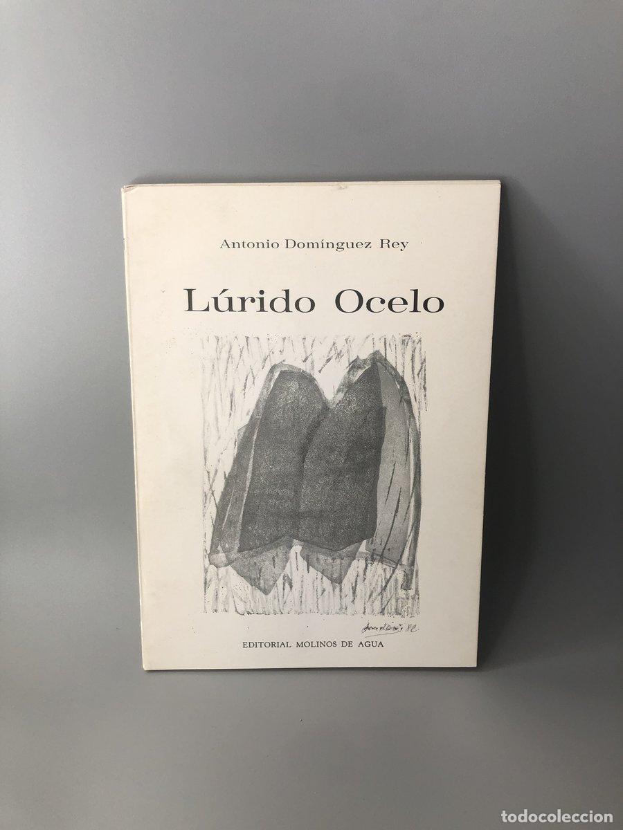 Livros em segunda m&atilde;o: L&uacute;rido Ocelo Dominguez Rey, Antonio (Dedicado por el autor) - Dominguez Rey, Antonio