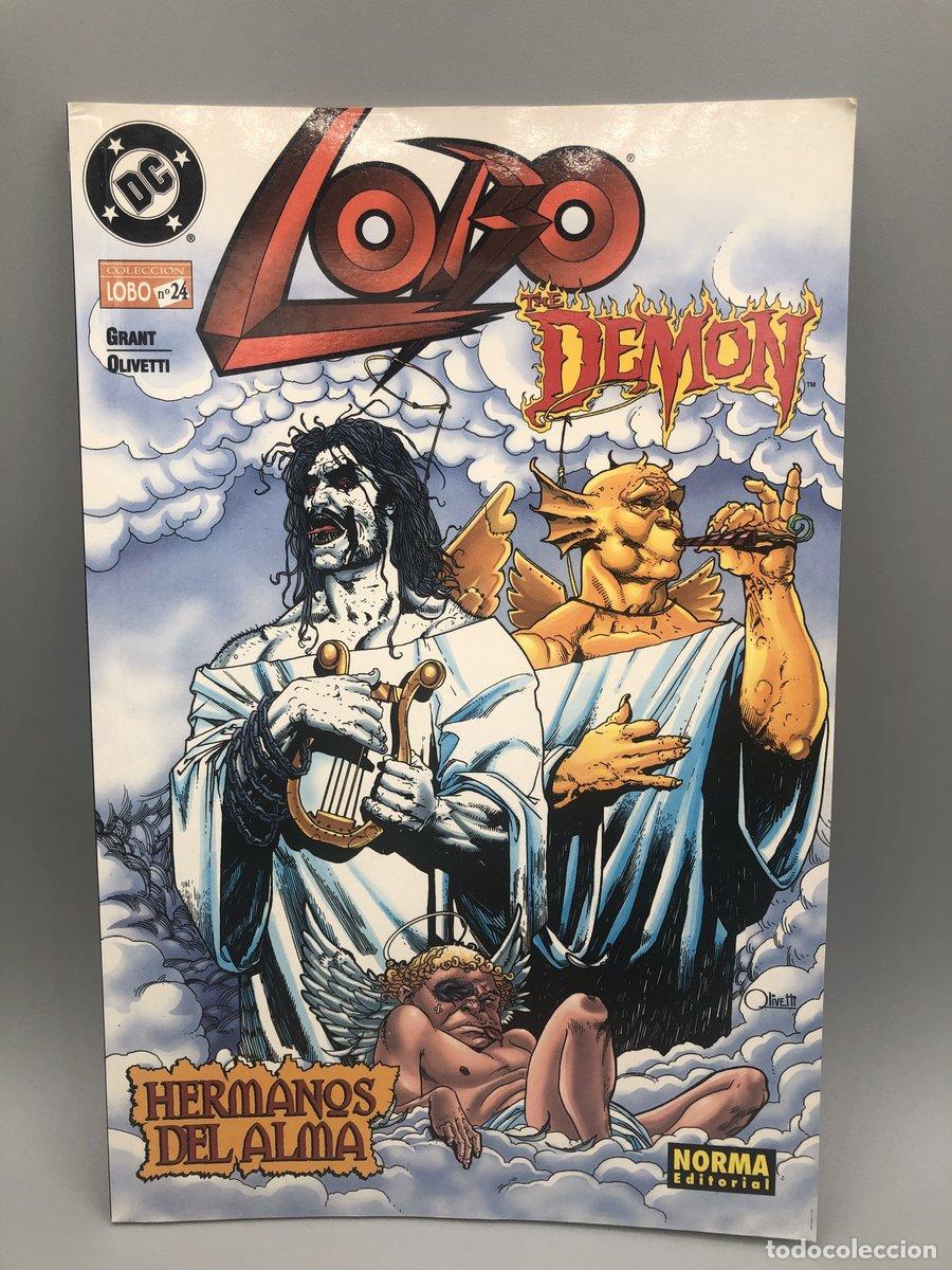 Livres: Lobo demon: Hermanos del alma 24 -