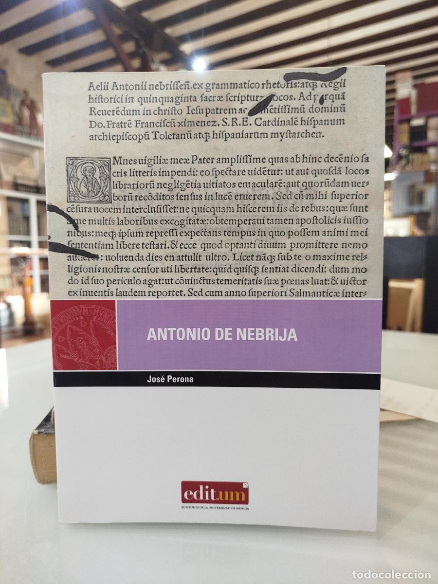 Libros: Antonio de Nebrija - Perona S&aacute;nchez, Jos&eacute; - Foto 1