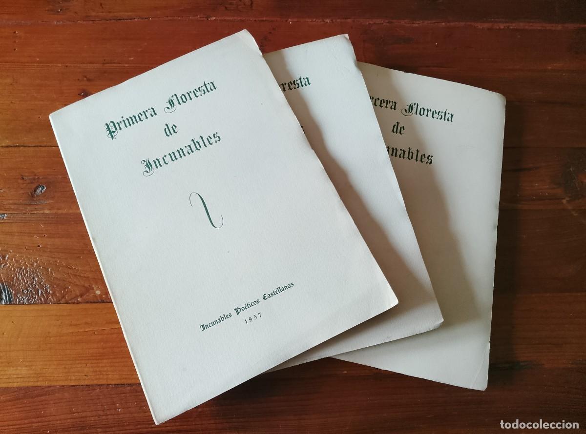 Libros: PRIMERA FLORESTA DE INCUNABLES - SEGUNDA FLORESTA DE INCUNABLES - TERCERA FLORESTA DE INCUNABLES