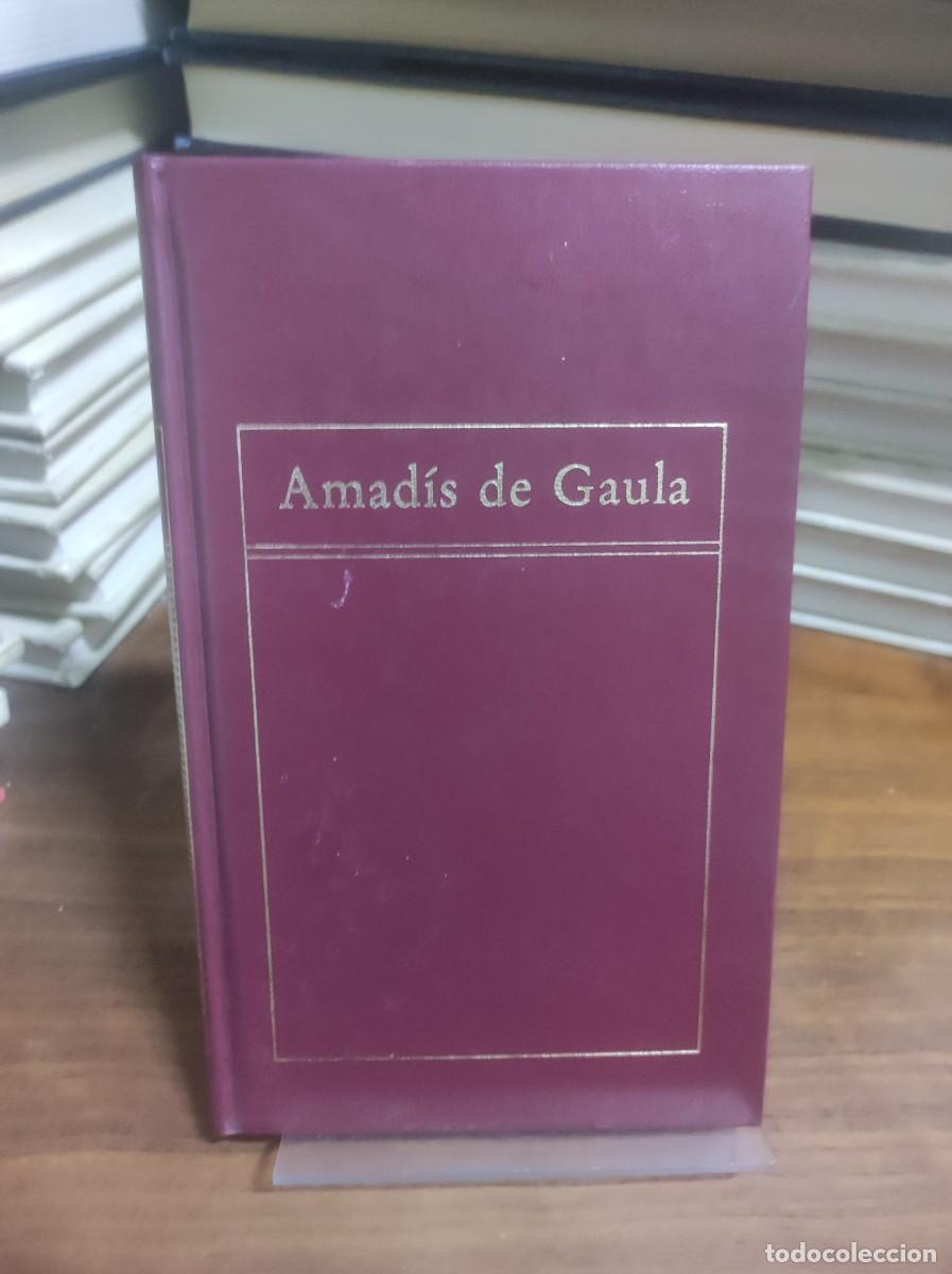 Libros: Amad&iacute;s de Gaula (An&oacute;nimo - Foto 1