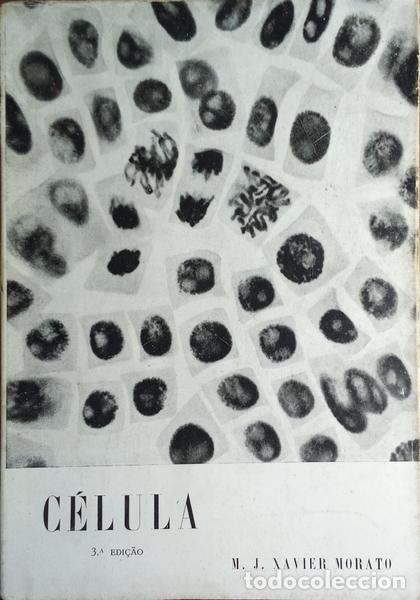 Libros: XAVIER MORATO. (M. J.) - C&Eacute;LULA. [3.&ordf; EDI&Ccedil;&Atilde;O] - Foto 1