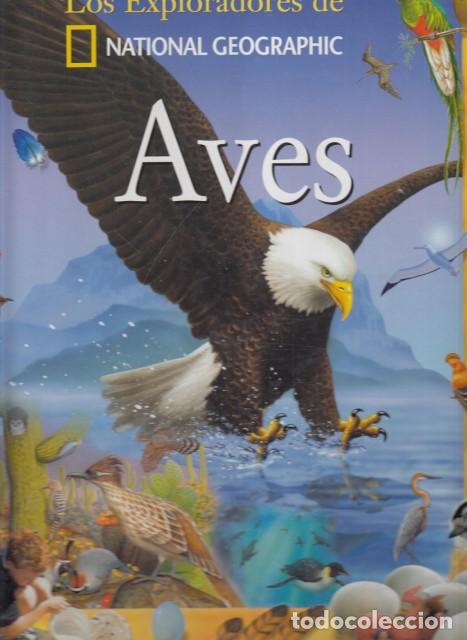 Libros: LOS EXPLORADORES DE NATIONAL GEOGRAPHIC. AVES - C&Iacute;RCULO DE LECTORES - Foto 1