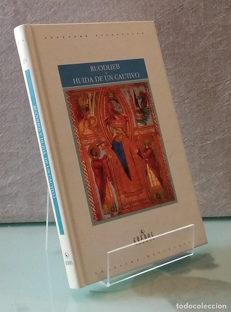 Livros em segunda m&atilde;o: Ruodliebe y Hu&iacute;da de un cautivo. Dos relatos an&oacute;nimos del siglo XI - An&oacute;nimo