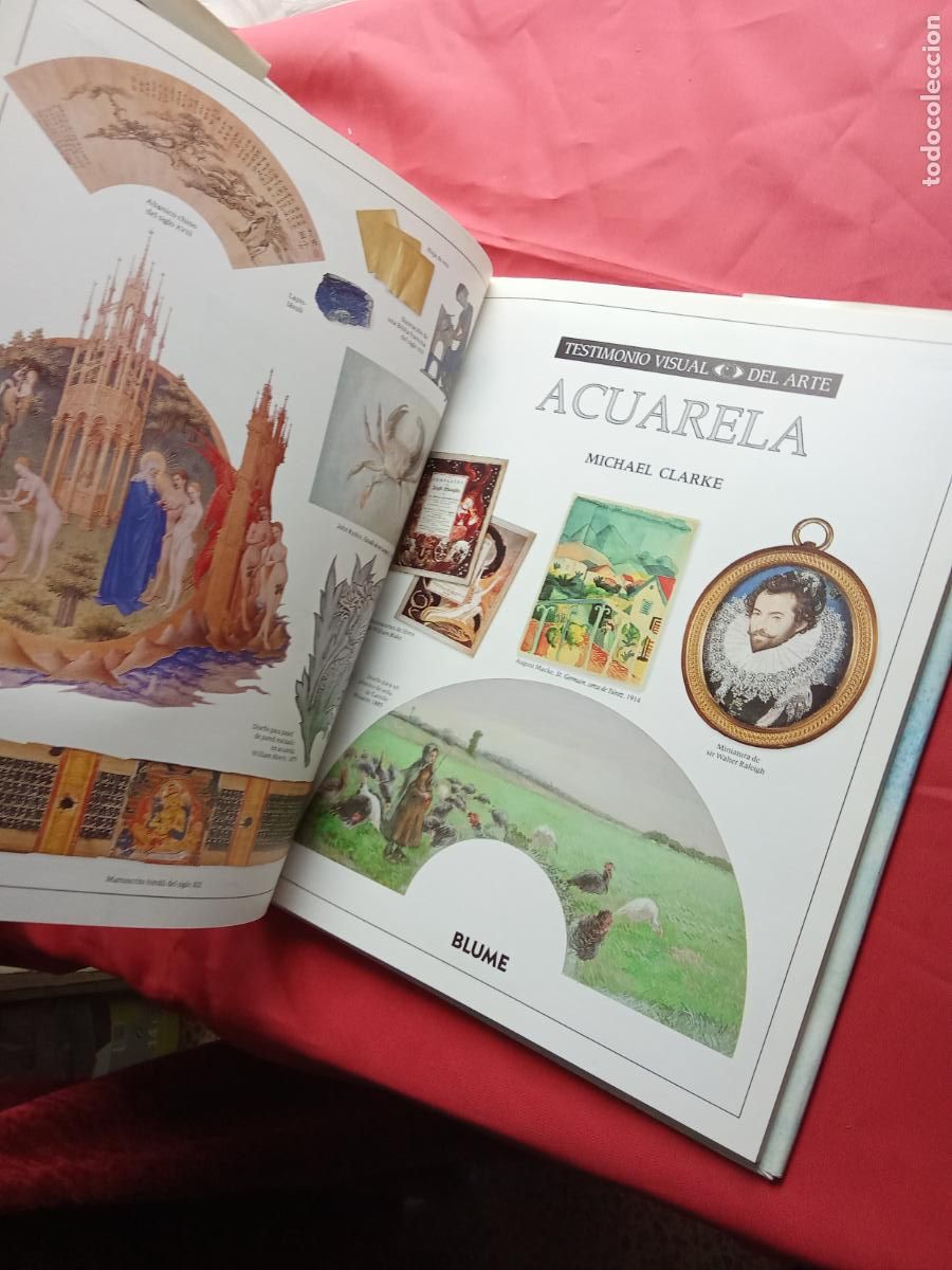 Libros: Testimonio visual del arte: Acuarela. Michael Clarke Q.959 - Foto 2