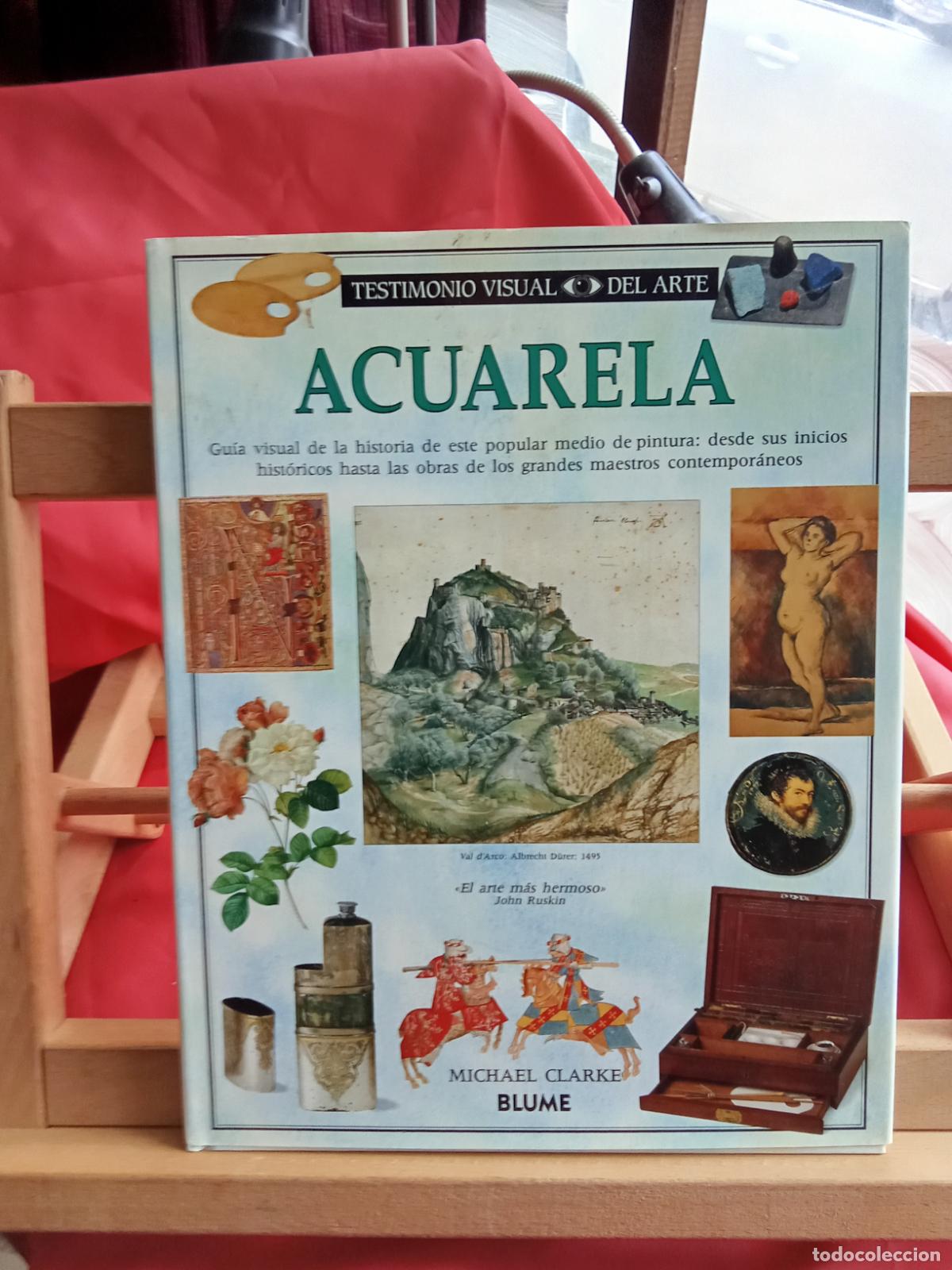 Libros: Testimonio visual del arte: Acuarela. Michael Clarke Q.959 - Foto 1