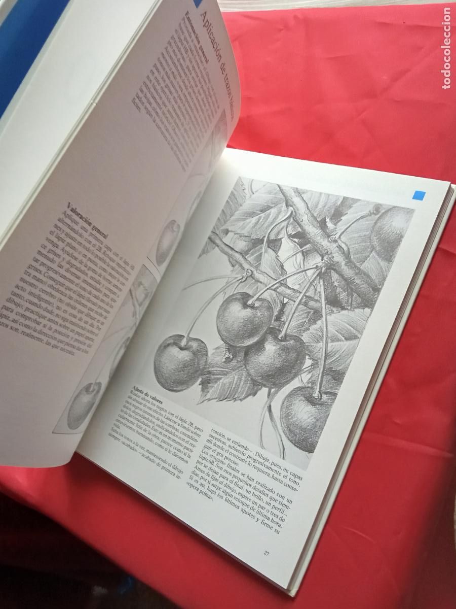 Libros: Las bases del dibujo artistico Q.960 - Foto 2