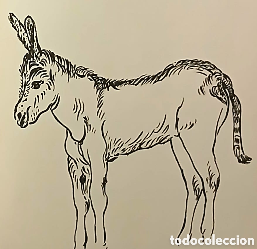 Libros: Platero y yo, Juan Ramon Jim&eacute;nez - Foto 3