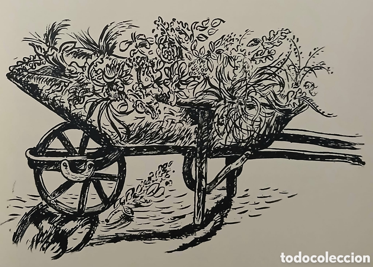 Libros: Platero y yo, Juan Ramon Jim&eacute;nez - Foto 7