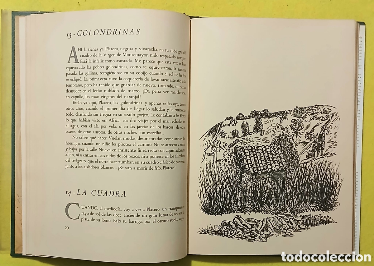 Libros: Platero y yo, Juan Ramon Jim&eacute;nez - Foto 8