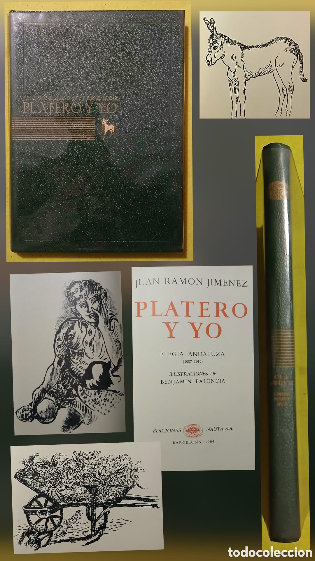Libros: Platero y yo, Juan Ramon Jim&eacute;nez - Foto 1