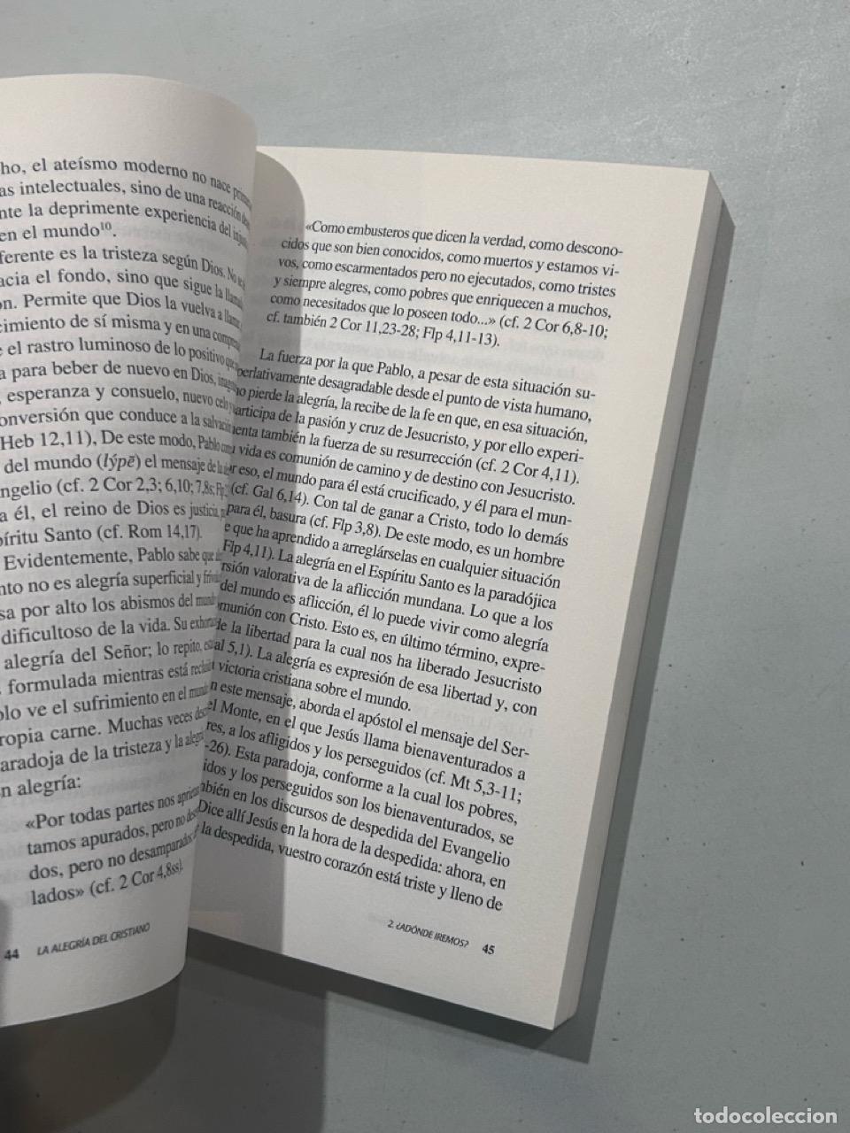Libros: Walter Kasper - La alegr&iacute;a del cristiano - Foto 2
